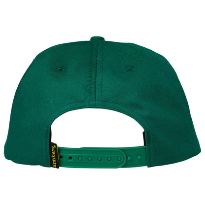 Anti-Hero Pigeon Round Snapback Cap